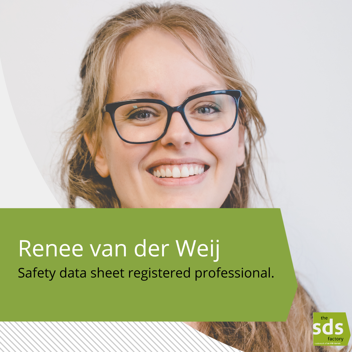 safety-data-sheet-registered-professional-de-vib-fabriek